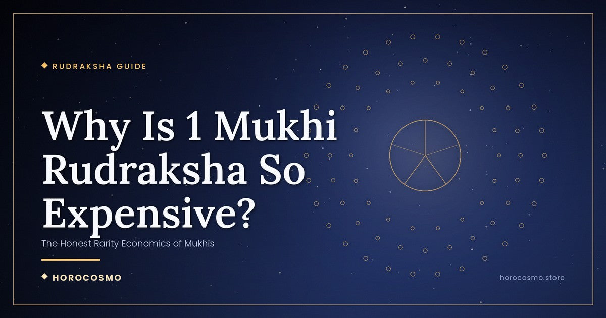 Why Is 1 Mukhi Rudraksha So Expensive? The Honest Rarity Economics of Mukhis