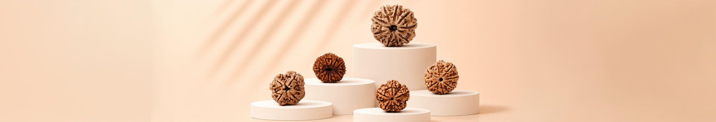 1–14 Mukhi Rudraksha