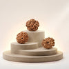 1–14 Mukhi Rudraksha