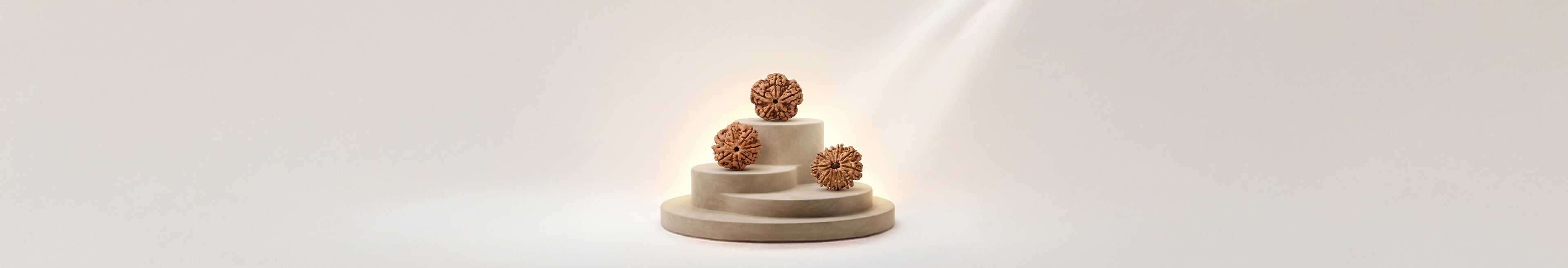 1 –14 Mukhi Rudraksha