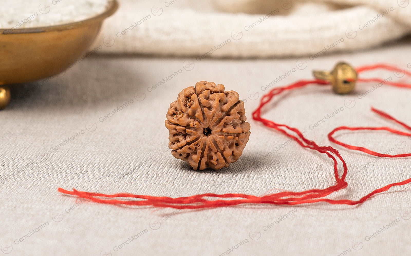 Rudraksha