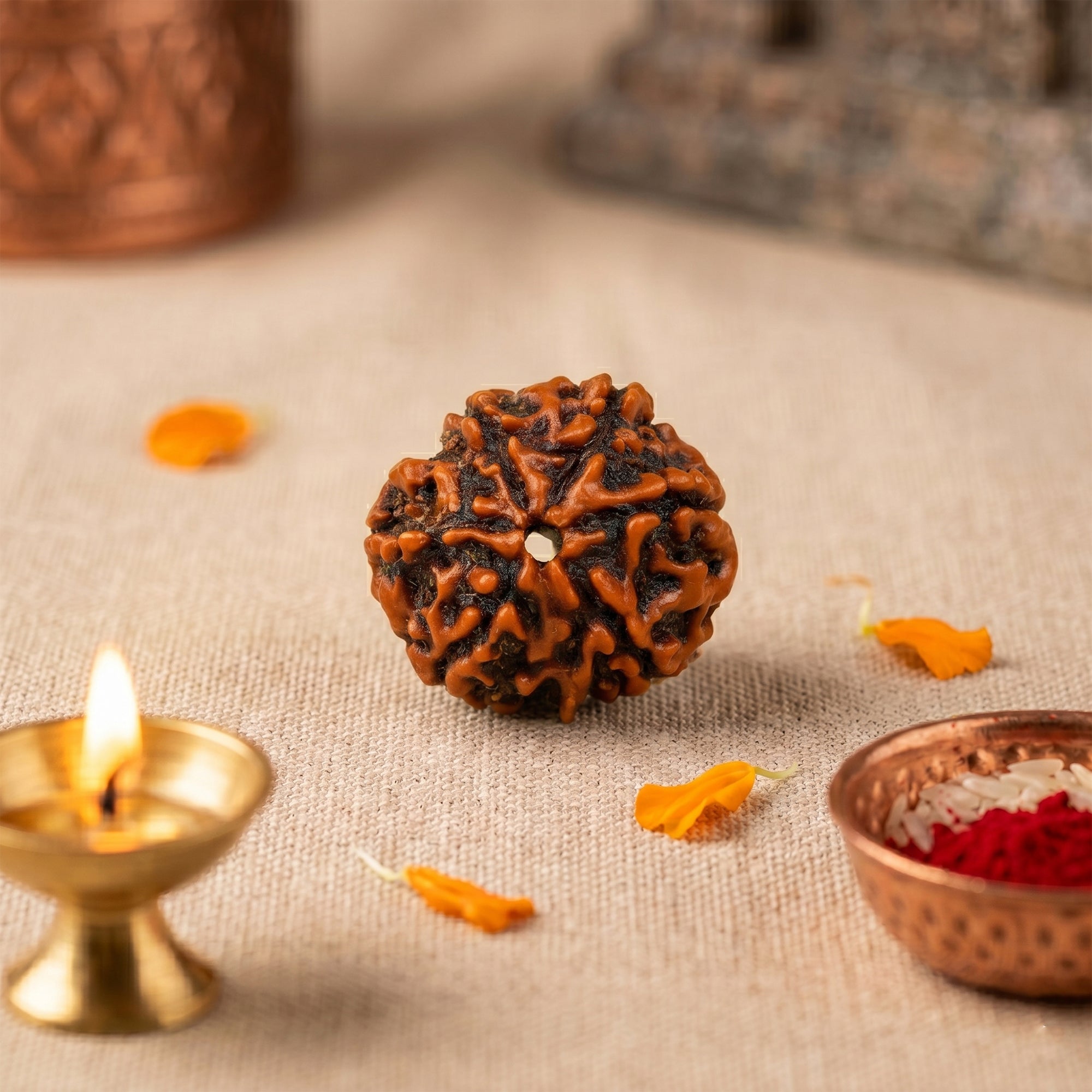 6 Mukhi Rudraksha collection cover