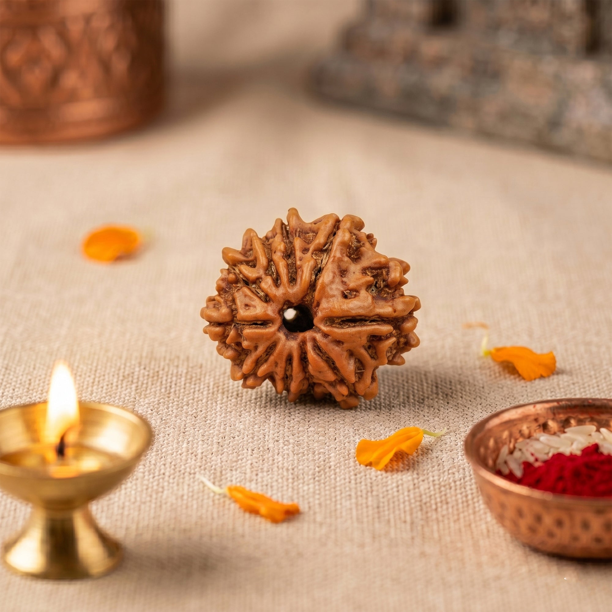 10 Mukhi Rudraksha collection cover