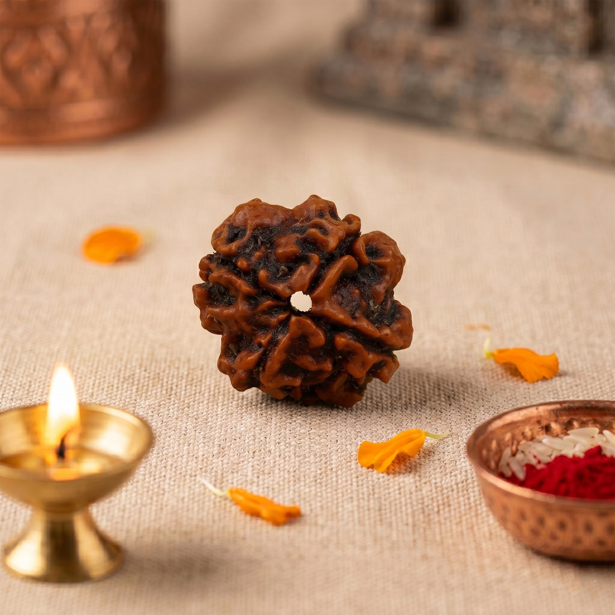 4 Mukhi Rudraksha collection cover