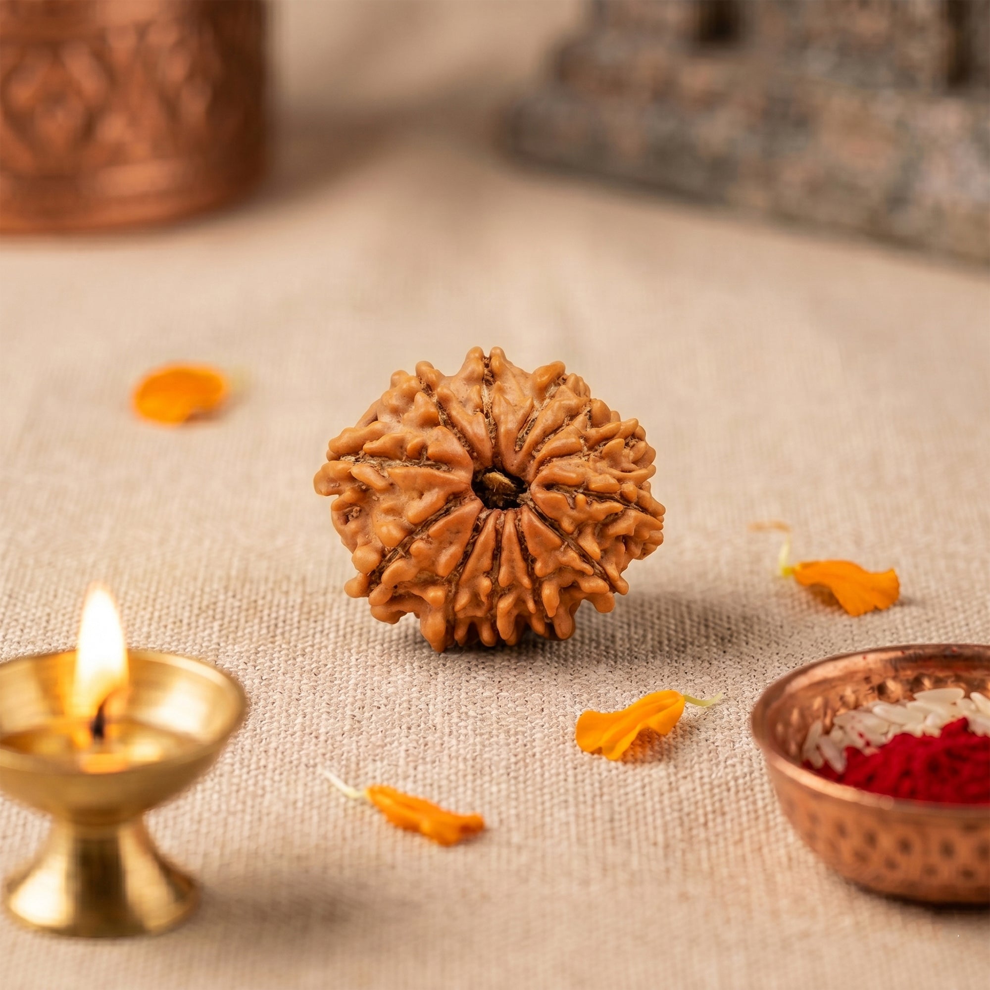 12 Mukhi Rudraksha collection cover