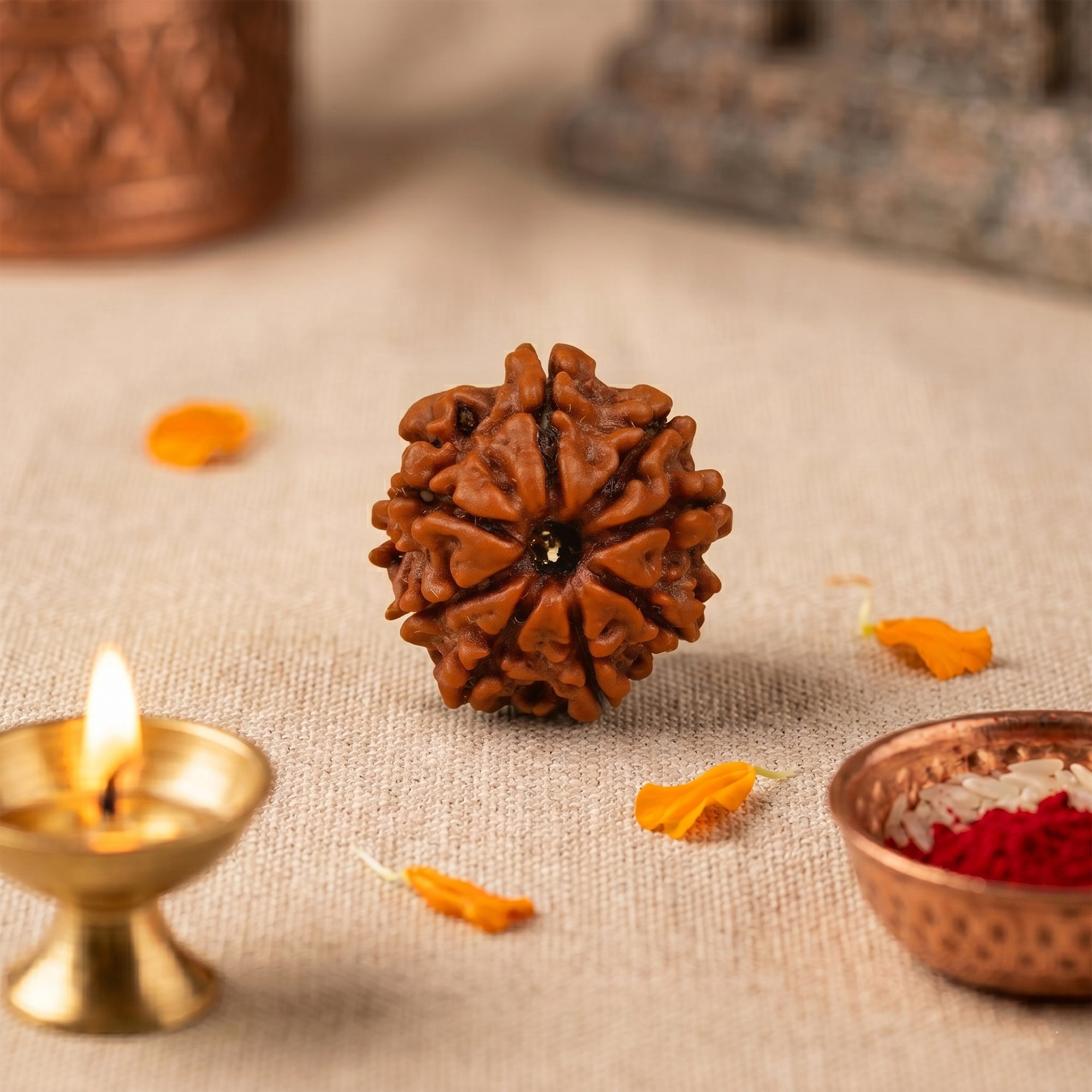 8 Mukhi Rudraksha collection cover