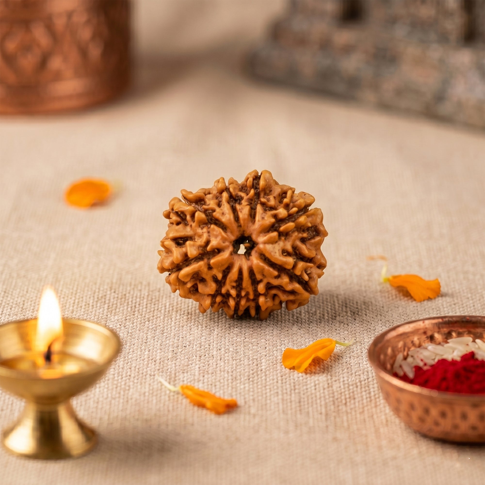 9 Mukhi Rudraksha collection cover
