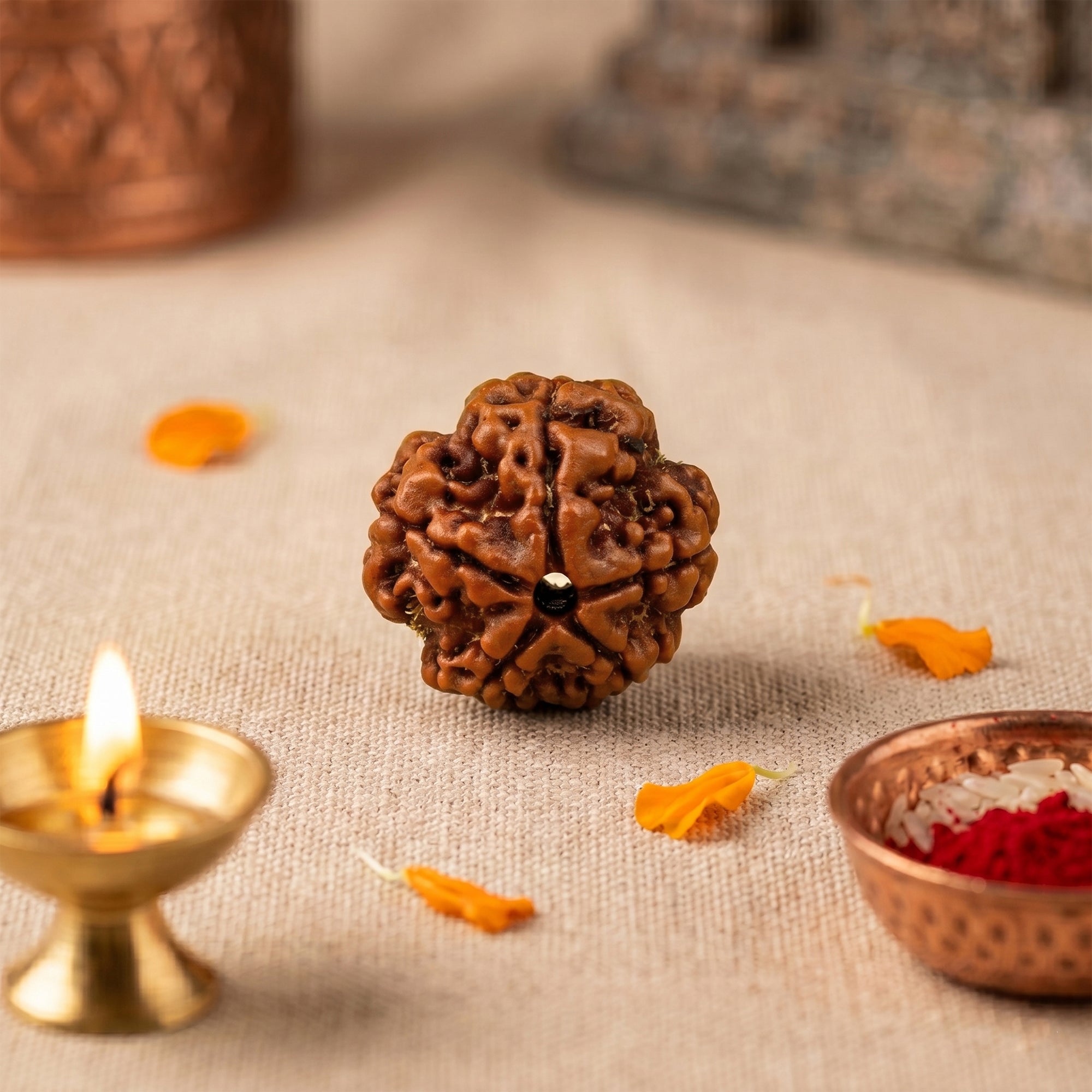 5 Mukhi Rudraksha collection cover