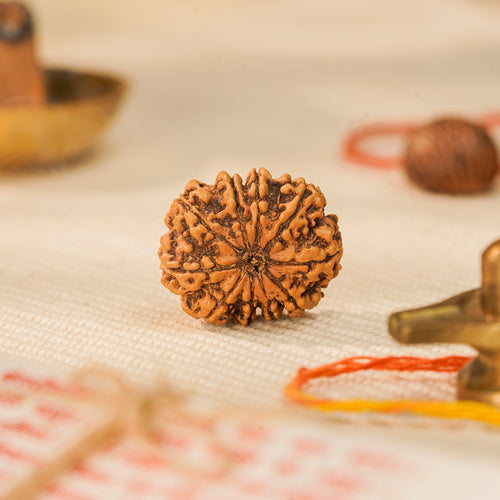 10 Mukhi Rudraksha Bead (Nepal) – Protection & Peace (Certified)