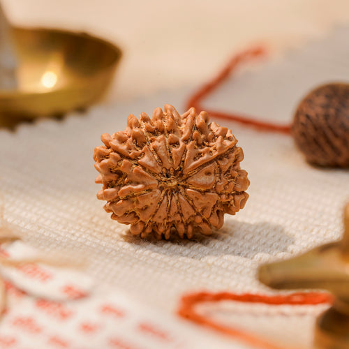 11 Mukhi Rudraksha Bead (Nepal) – Courage & Self-Control (Certified)