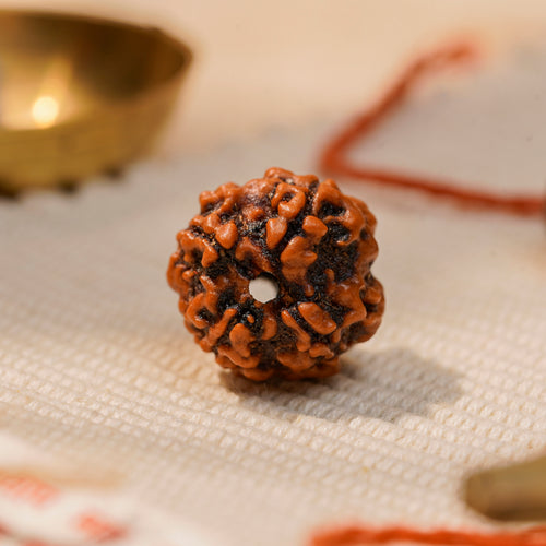 4 Mukhi Rudraksha Bead (Nepal) – Knowledge & Communication (Certified)
