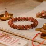 7 Mukhi Rudraksha Bracelet, alternate view — Horocosmo