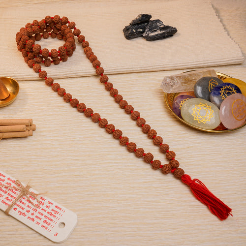 Rudraksha Jap Mala 108+1 Beads – Daily Japa (Certified & Energised)