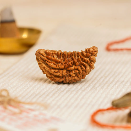 1 Mukhi Rudraksha Bead (Nepal) – Spiritual Focus & Clarity (Certified)