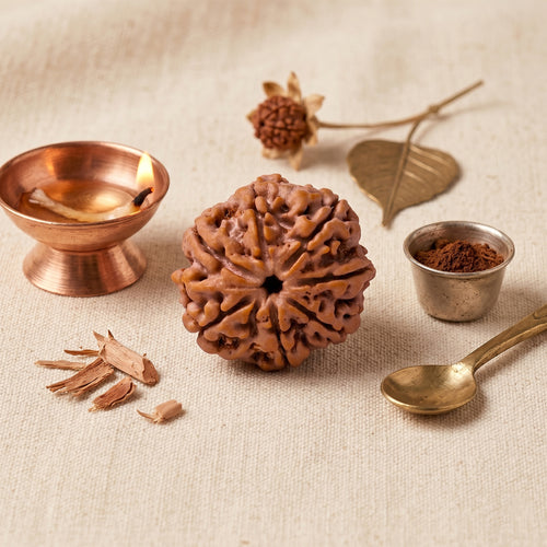 Kashi Siddh 7 Mukhi Rudraksha Bead (Nepal) – Wealth & Sade Sati Relief (Mahalakshmi) (Certified)