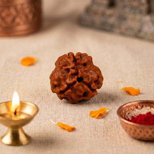 3 Mukhi Rudraksha Bead (Nepal) – Confidence & Energy (Certified)