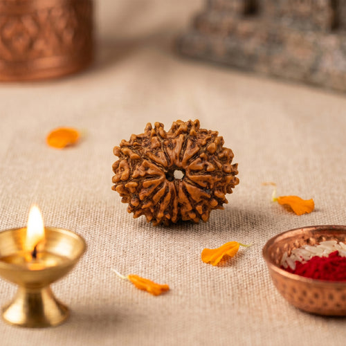 11 Mukhi Rudraksha Bead (Nepal) – Courage & Self-Control (Certified)