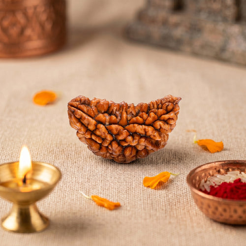 1 Mukhi Rudraksha Bead (Nepal) – Spiritual Focus & Clarity (Certified)