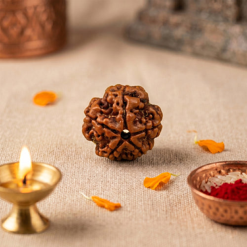 5 Mukhi Rudraksha Bead (Nepal) – Peace, Health & Calm (Shiva) (Certified)