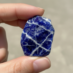 Natural Sodalite crystal held in hand for scale – Horocosmo