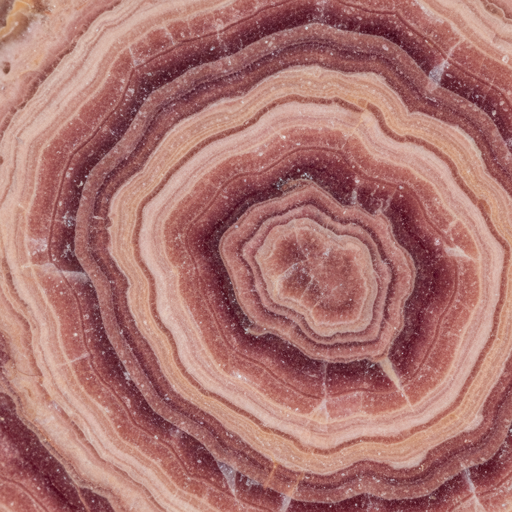 Macro of natural Rhodochrosite showing rose-pink banding – Horocosmo