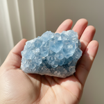 Natural Celestite sky-blue cluster held in palm for scale – Horocosmo
