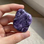 Natural Charoite swirling violet stone held in hand for scale – Horocosmo