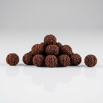 Java Rudraksha Beads