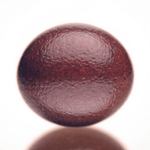 Nirakar Rudraksha Bead Nepal
