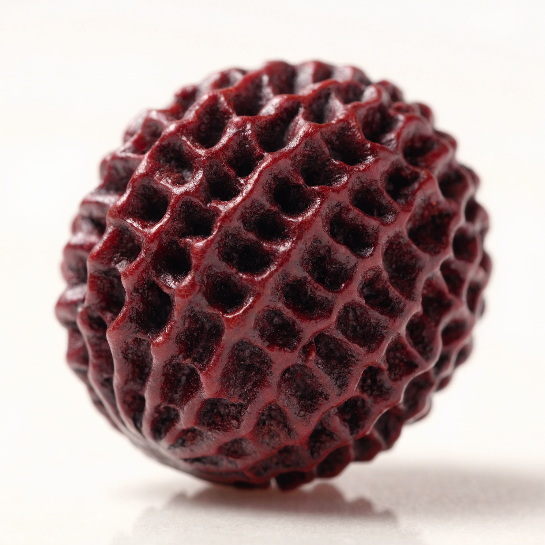 24 Mukhi Rudraksha Bead Nepal