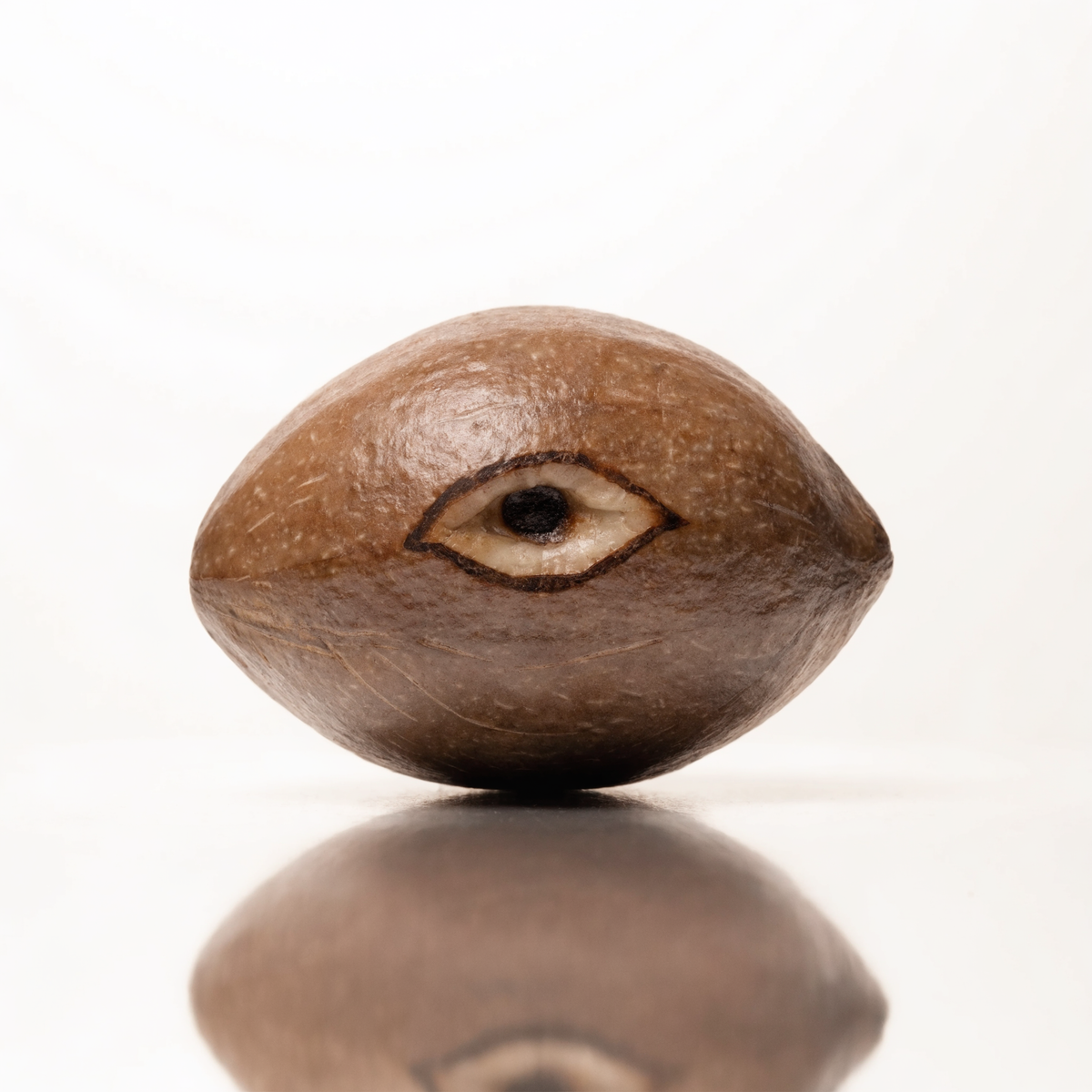 Ekakshi Nariyal Rare One-Eyed Coconut