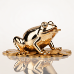 Feng Shui Three-Legged Money Frog