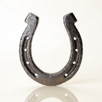 Genuine Iron Lucky Horseshoe