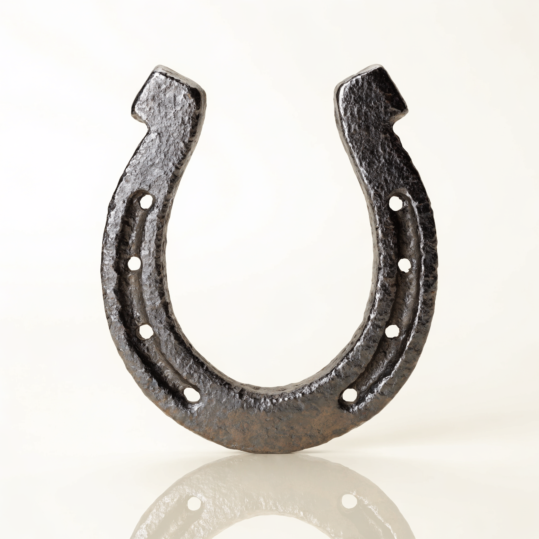Genuine Iron Lucky Horseshoe