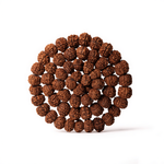 Siddha Mahakavach complete 1 to 14 Mukhi Rudraksha mala, certified and energised