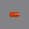 Natural Red Coral (Moonga) Stone – Lab Certified & Energised